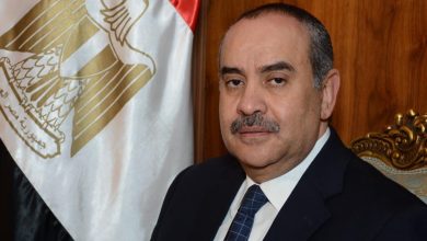 وزير الطيران المدنى