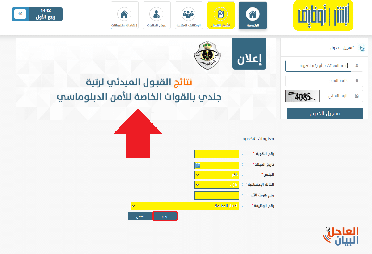 الأمن الدبلوماسي
