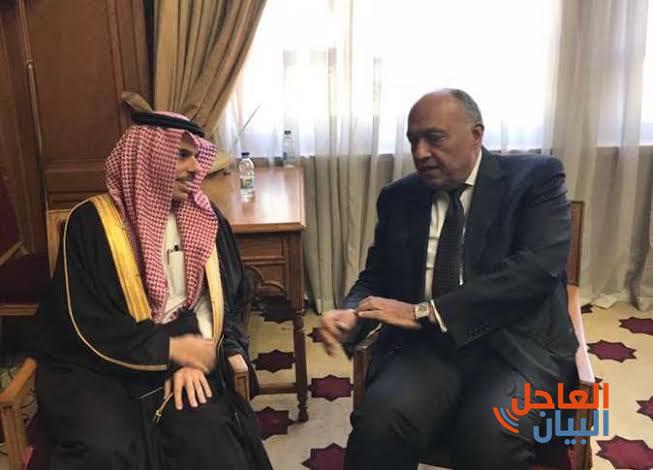 الأمير فيصل بن فرحان يلتقي وزير الخارجية المصري