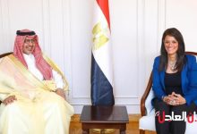 سفير المملكة لدى مصر