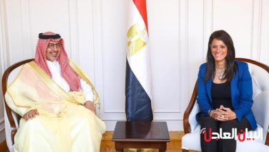 سفير المملكة لدى مصر