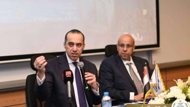 المستشار محمود فوزي