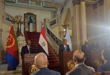 وزير الخارجية المصري