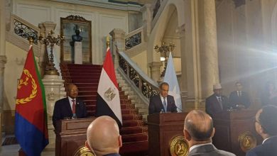 وزير الخارجية المصري