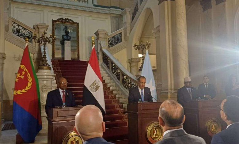 وزير الخارجية المصري