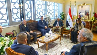 وزيرة التنمية المحلية