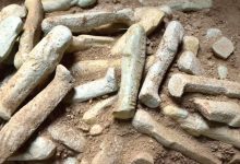 اكتشافات أثرية جديدة