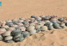 المملكة