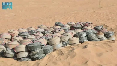 المملكة