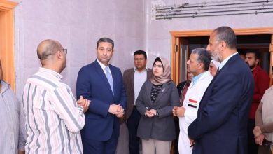محافظ دمياط