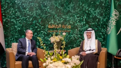 وزير الطاقة