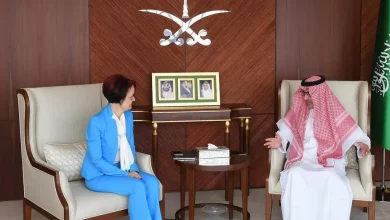 سفير المملكة لدى مصر