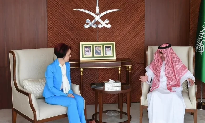 سفير المملكة لدى مصر