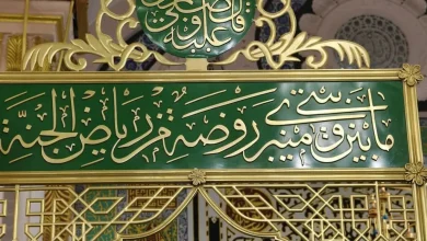 ملايين زائر