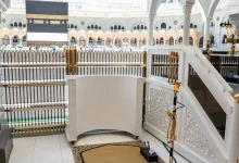 منظومة صوتية