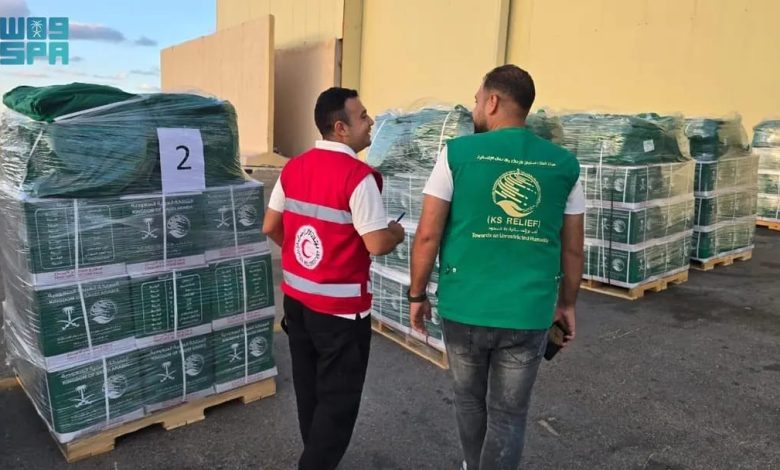 الطائرة الإغاثية السعودية