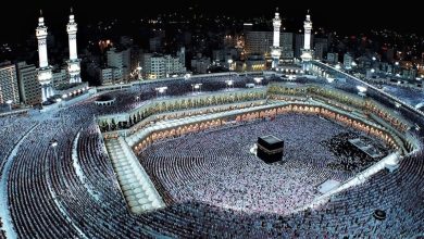 وزارة السياحة